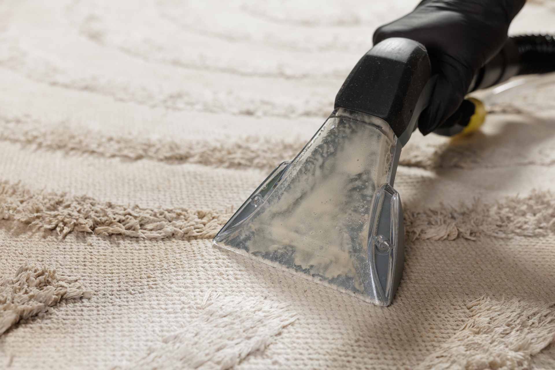 Carpet Steam Cleaning